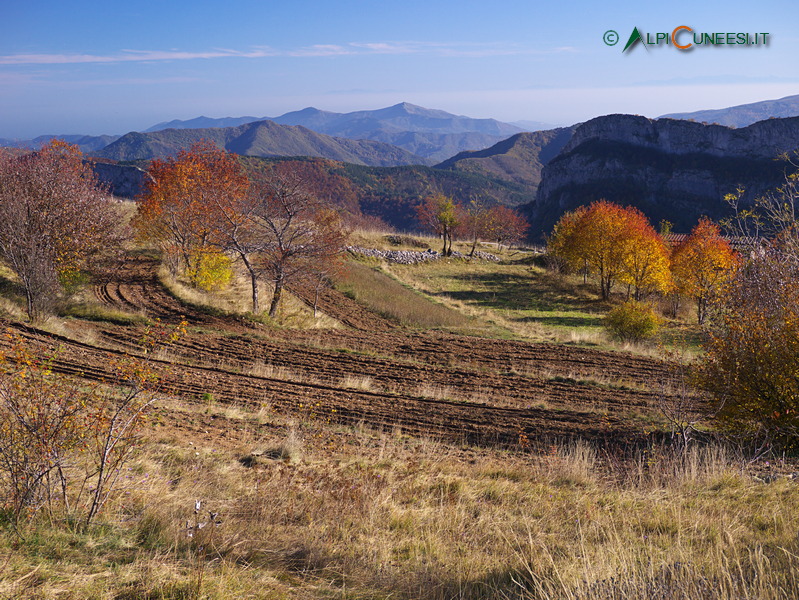 Valle Tanaro: terrazzamenti sopra Quarzina (2016)