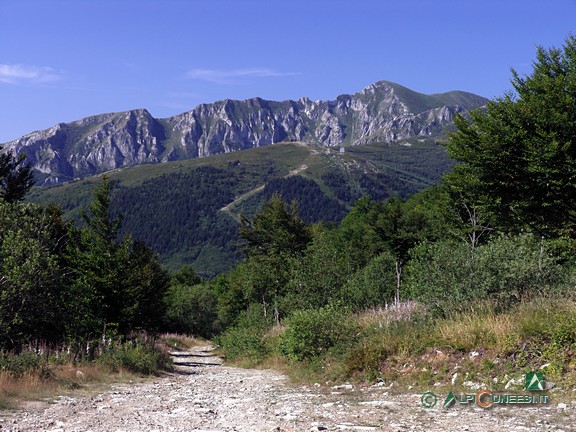 2 - Panorama verso valle dalla sterrata alle pendici del Bric Mindino (2006)