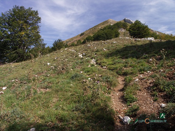 7 - Un ripido tratto del sentiero alle pendici del Monte Mussiglione (2009)