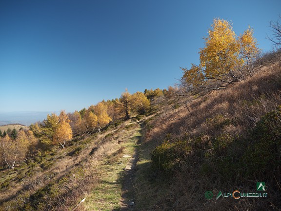 9 - Il sentiero che si dirige al Colle di Prato Rotondo (2022)