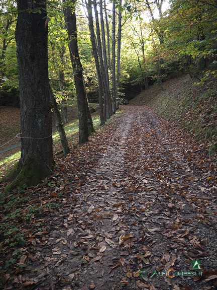 7 - La strada sterrata che inizia presso gli impianti sportivi in Località Canalot (2024)