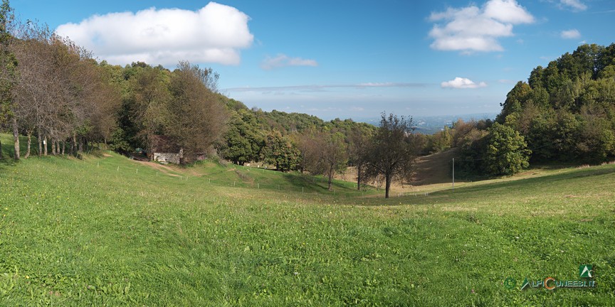 11 - La grande dolina idrovora alla Bassa di San Salvatore (2024)