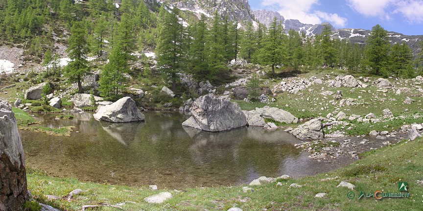 3 - Il piccolo laghetto nei pressi del Lac Vert de Fontanalba (2010)