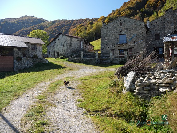 12 - La borgata di Roccelle superiore (2020)