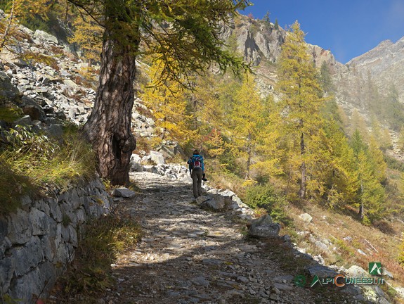 4 - La strada militare Pian del Valasco - Laghi di Valscura al bivio per il Rifugio Questa (2013)