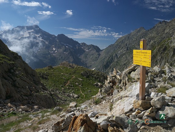 7 - Al Colle di Fenestrelle con il Monte Gelas sullo sfondo (2015)