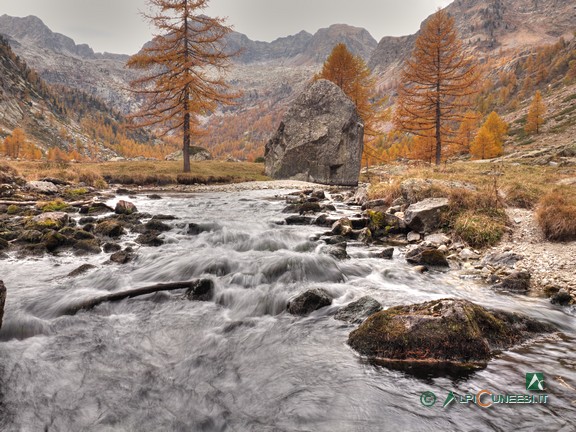 10 - Il Torrente Gesso al Piano inferiore del Valasco (2021)