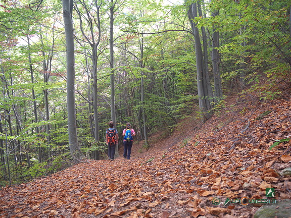 3 - La discesa nel bosco dal Colletto del Vailetto (2023)