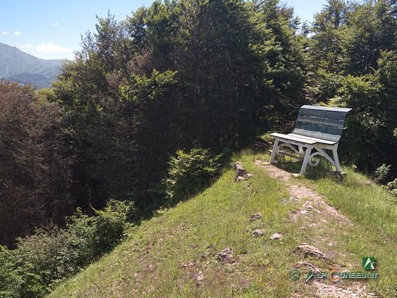 7 - La panchina gigante sulla cima della Madonna della Luce (2024)