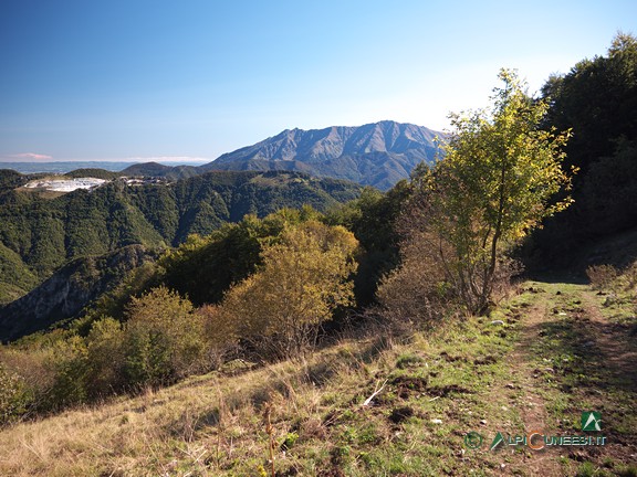 3 - Besimauda e Bric Costa Rossa dalla pista agro-pastorale verso il Passo del Van (2024)