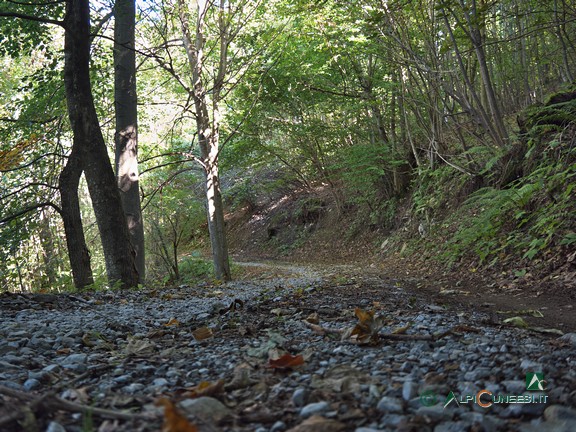 13 - La strada sterrata che risale il Vallone San Bernardo (2024)