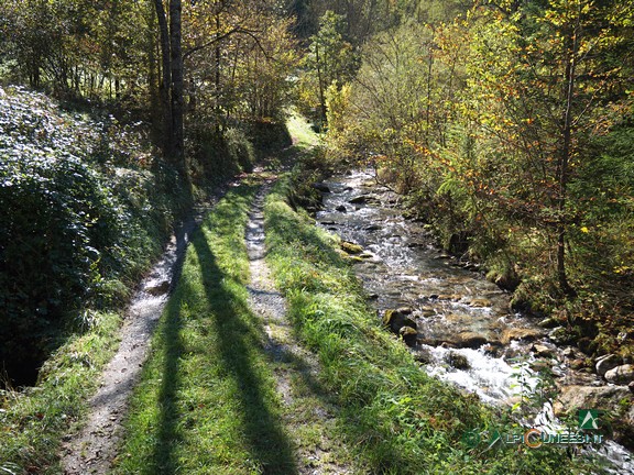 5 - Un tratto di strada sterrata a fianco di un affluente del Torrente Biale (2024)