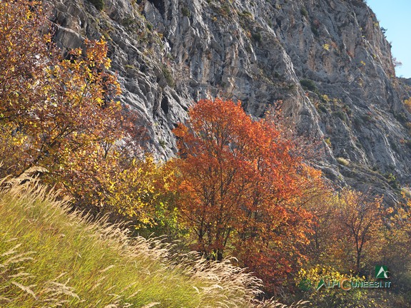 9 - Alle pendici di Rocca San Giovanni, nei pressi del bivio per Cima Saben (2024)