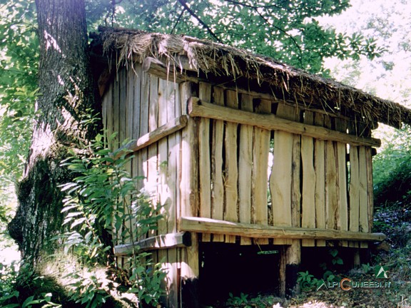 3 - Ricostruzione di una scapìta per lo stoccaggio di foglie secche o paglia (fotografata in Val Corsaglia) (2004)