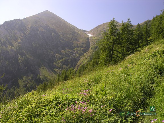 3 - Il Monte Bourel a sinistra, e il Colle di Marchiana al centro della foto (2011)