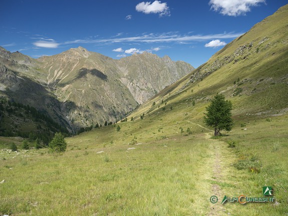 13 - Panorama sul Vallone di Pontebernardo dai pressi del Passo sottano delle Scolettas (2019)