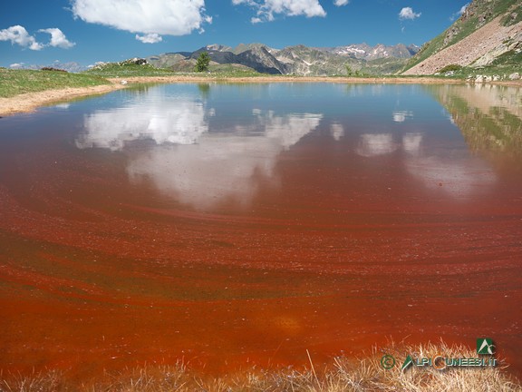 3 - Una colorazione sorprendente della pozza lungo la mulattiera (2024)