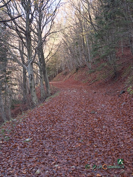 2 - La strada sterrata dopo Pra della Sala (2024)