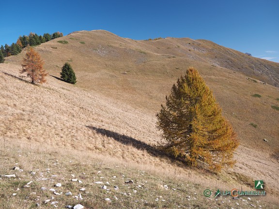 6 - La lunga dorsale prativa per Cima Cialancia (2024)