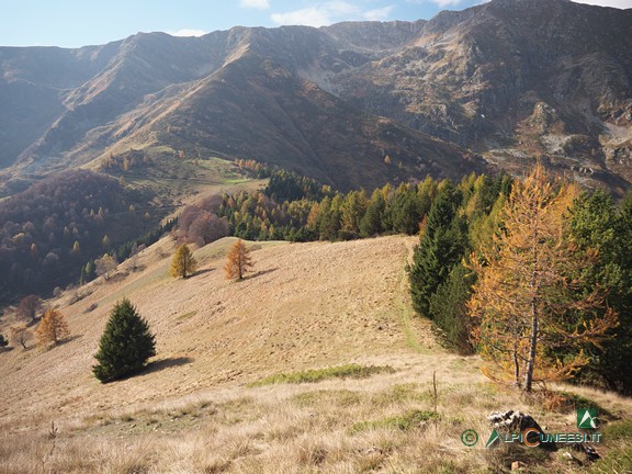 7 - Il Colle dell'Arpione dal crinale verso Cima Cialancia (2024)