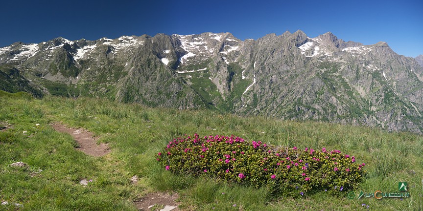 5 - Panorama sulla Valle Gesso dai pressi del Colle della Garbella (2020)