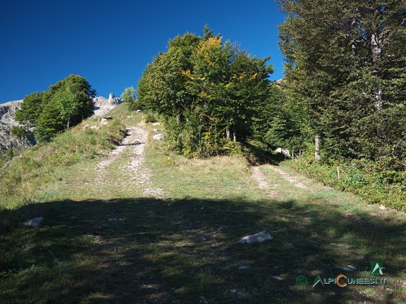 4 - Il bivio sulla strada agro-pastorale per Pian Madoro (2024)