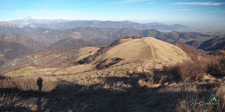 17 - I pascoli di crinale de L'Arpiola dal sentiero per L'Alpe di Rittana (2020)